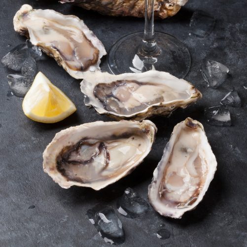 Opened oysters, ice and lemon and white wine on stone table. With copy space